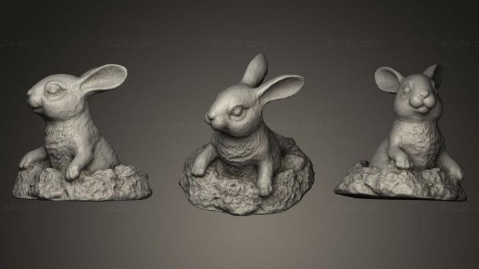 Статуэтки животных (Садовый Кролик, STKJ_0294) 3D модель для ЧПУ станка